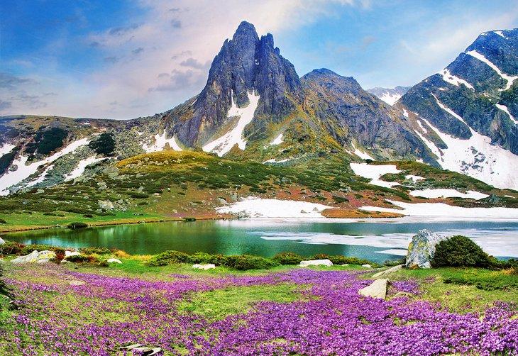 Lac Bliznaka (Le Jumeau), Montagne Rila, Bulgarie