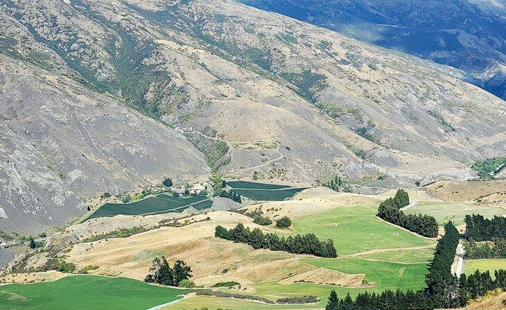 Landschaft nahe Cromwell