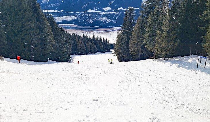 Una pista en Revelstoke Mountain Resort