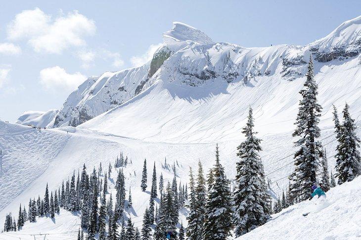 Fernie Alpine Resort