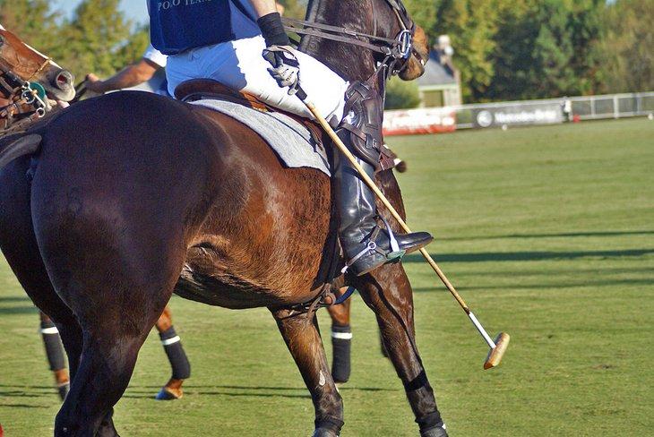 Polo en Argentina