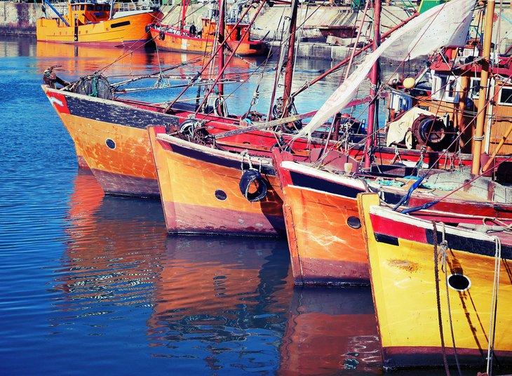 Coloridos barcos pesqueros en el puerto de Mar Del Plata