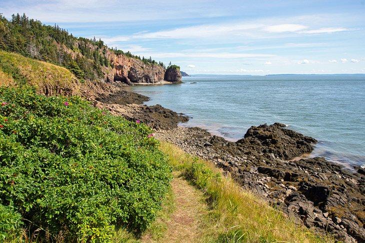 Sentier dans le Parc provincial de Cape Chignecto