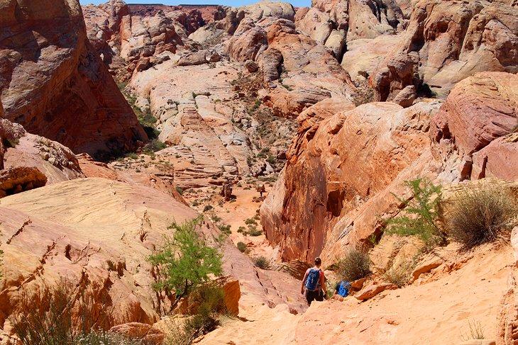 Caminata White Domes