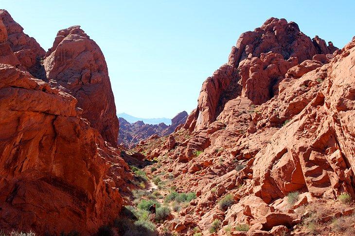 Sendero hacia Fire Canyon Overlook