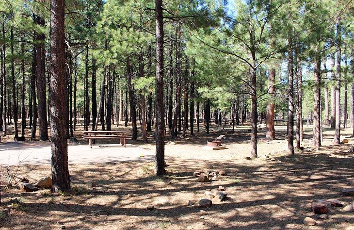Campamento Sinkhole
