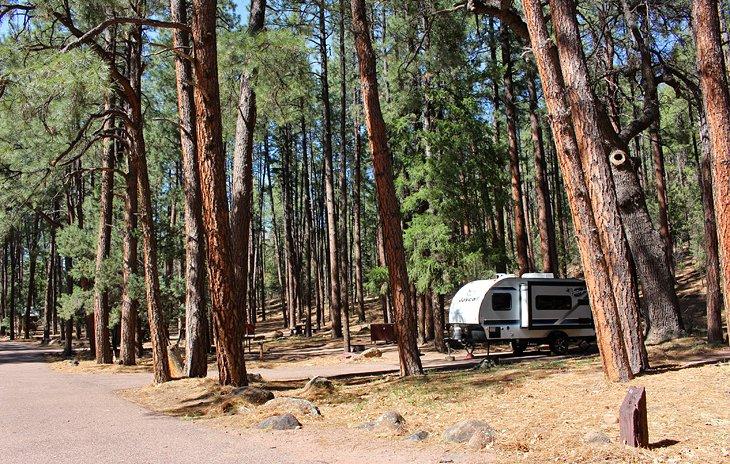 Campamento Christopher Creek