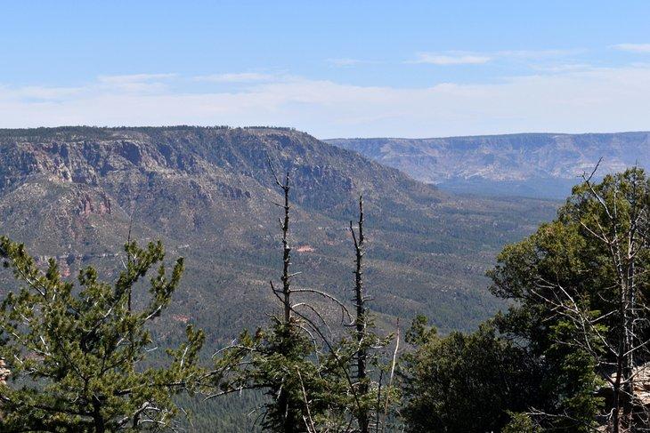 Vista de Mogollon Rim