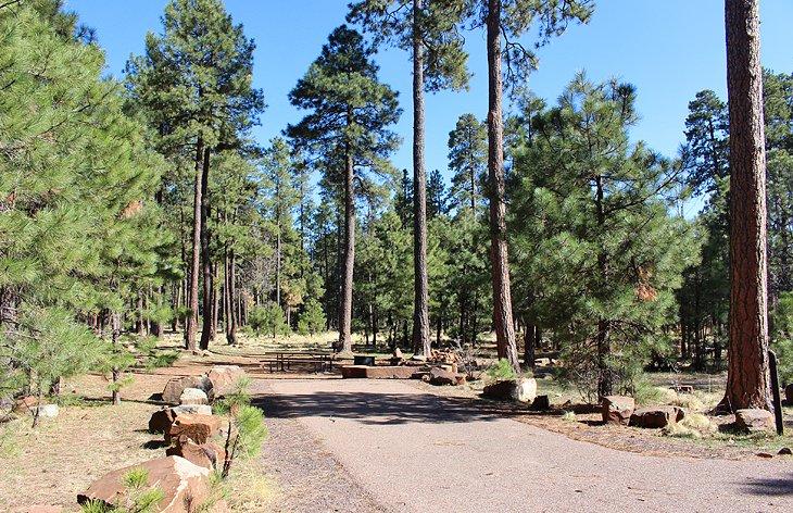 Campamento Aspen