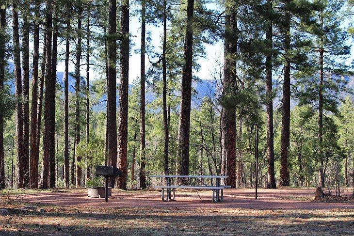 Campamento Sharp Creek