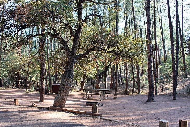 Campamento Ponderosa