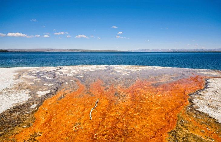 Geyser se déversant dans le lac Yellowstone