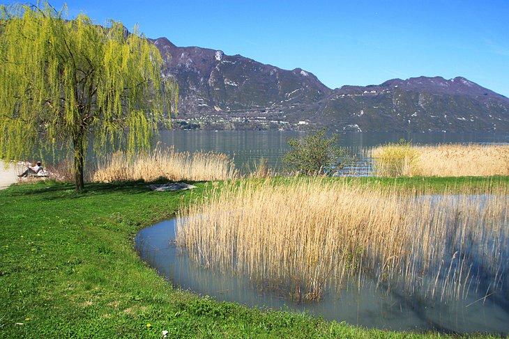 Pintoresco Lago de Bourget