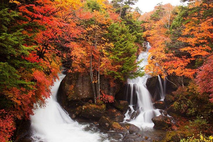 Parque Nacional Nikkō y Tōshō-gū