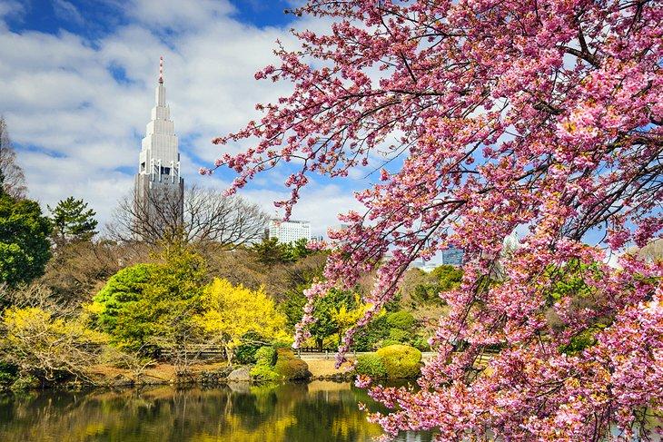 Jardín Nacional Shinjuku Gyoen