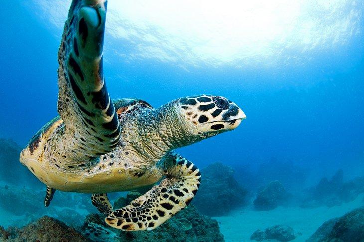 Parque Nacional Sodwana Bay