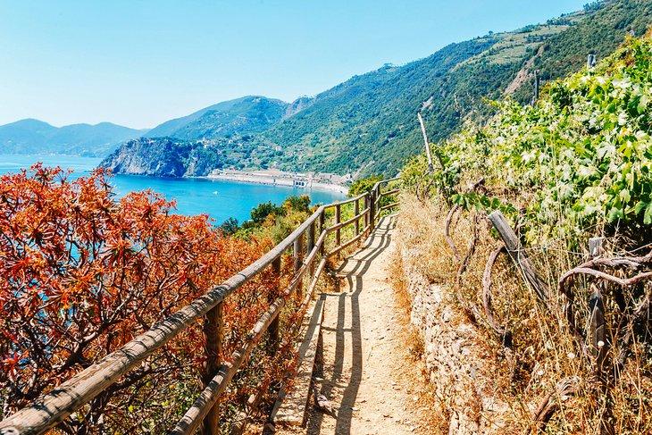 Sendero de Cinque Terre