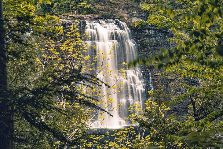 Cascadas Salmon River