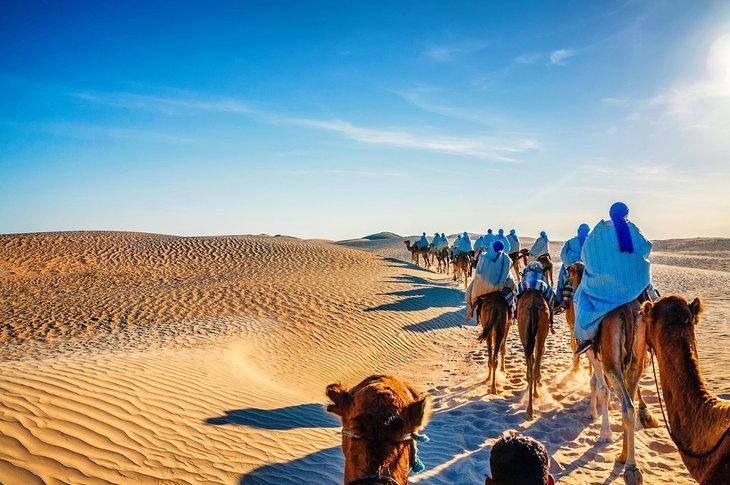 Caravana de camellos en el desierto del Sahara en Túnez