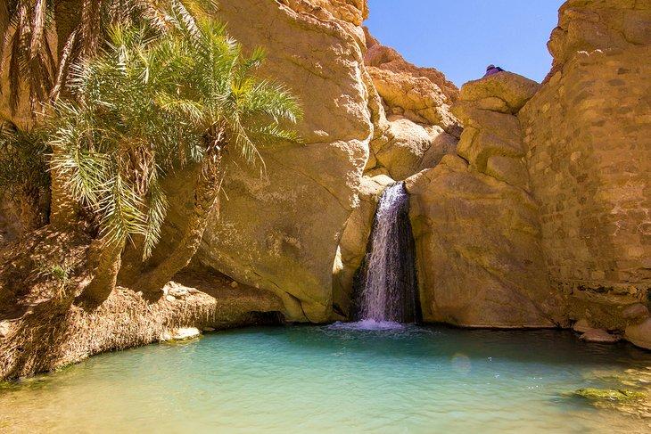 Cascada en la Oasis de Chebika