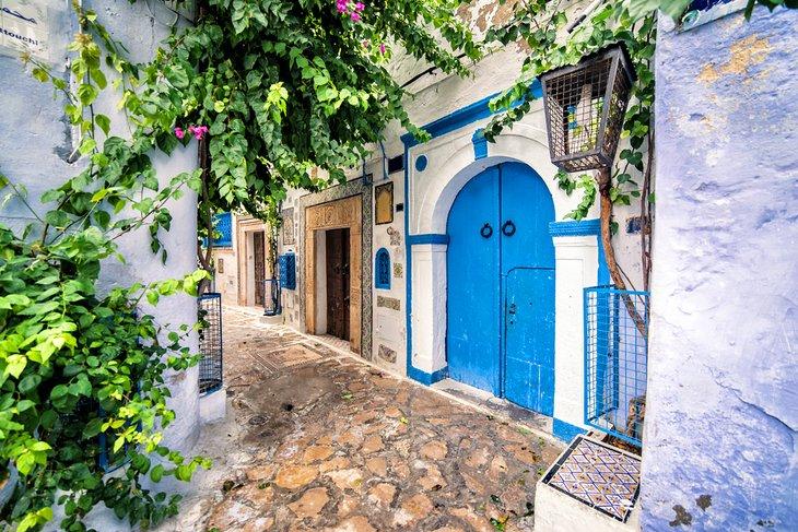 Medina de Hammamet