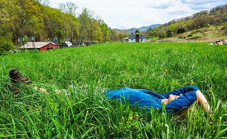 Un excursionista descansa en la hierba cerca de Damascus, VA