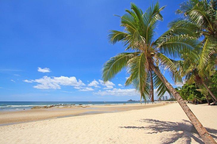 Kokosnusspalmen am Strand von Hua Hin