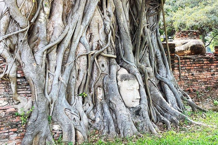 Buddha-Kopf bei Wat Mahathat