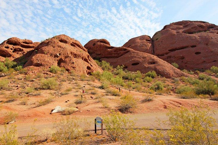 Parque Papago