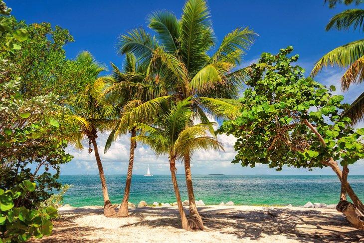 Playa tropical en Key West