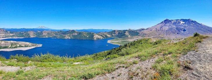 Panoramablick auf den Mount St. Helens