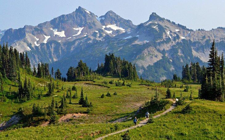 Le sentier Skyline au parc national de Mount Rainier
