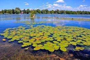 Lagos en Michigan