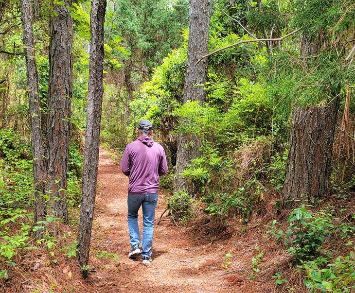 Caminando por el sendero natural de Hammock Hills