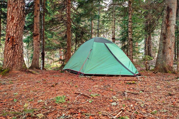 Acampada dispersa