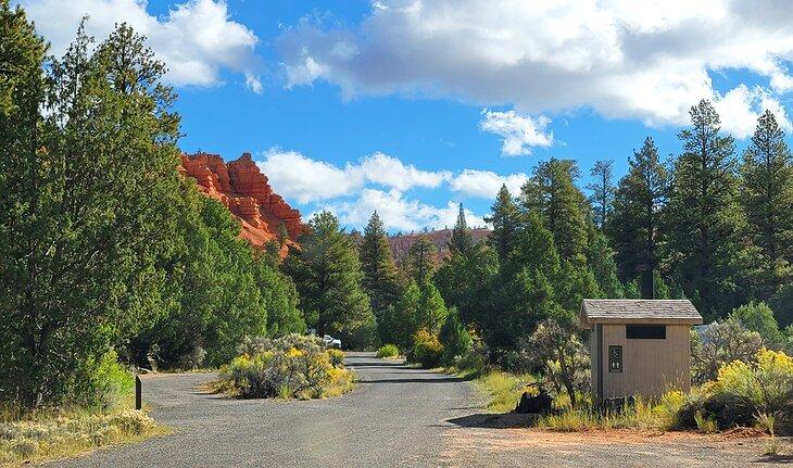 Un bucle en el Campamento Red Canyon