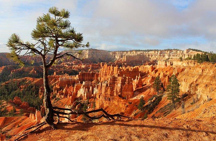 Vista del Parque Nacional Bryce Canyon