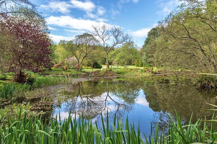 Jardin Botanique de St. Andrews