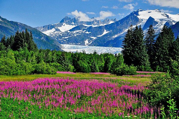 Glacier Mendenhall