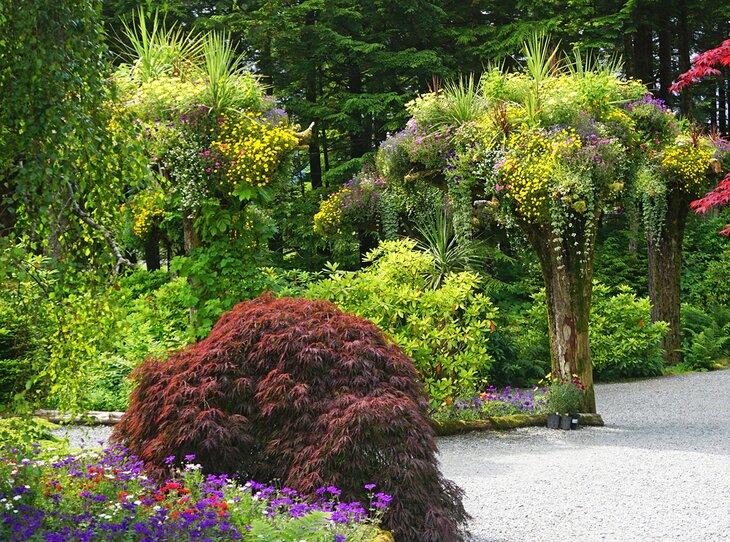 Tours de fleurs aux Glacier Gardens Rainforest Adventure