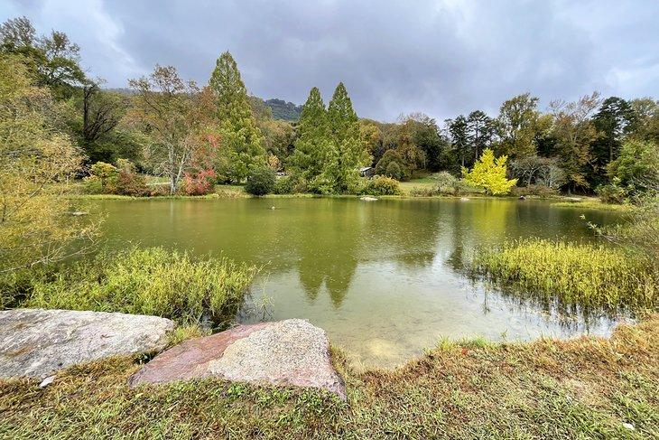Centro de Arboreto y Naturaleza Reflection Riding