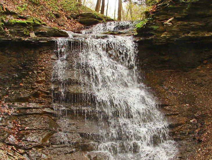 Cascada Sheepskin Hollow