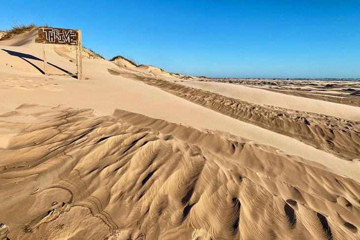 Plage Thrive