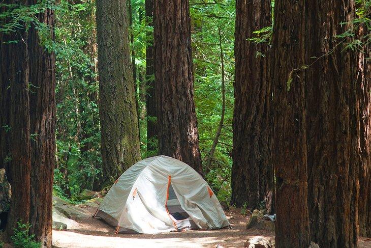 Camping au parc d'État Big Basin Redwoods