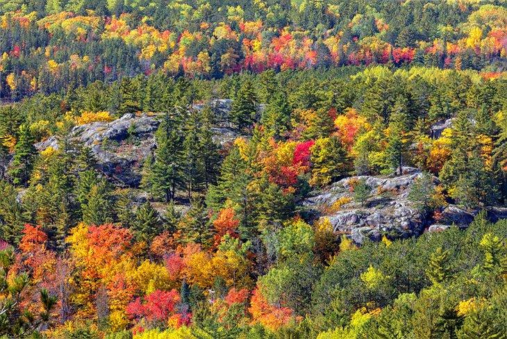 Colores de otoño en la Montaña Sugarloaf, Marquette, Míchigan