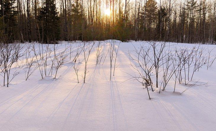 Invierno en el norte de Wisconsin