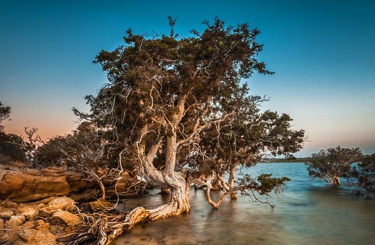 Parque Nacional Stokes
