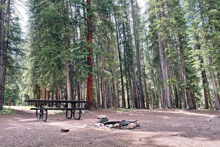 Camping Lost Man
