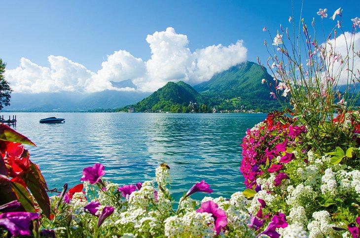 Flores en flor a lo largo del Lac de Annecy