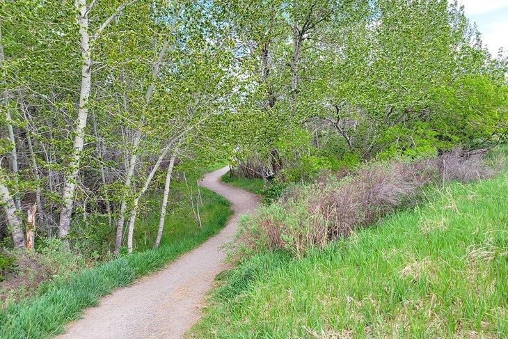 Sentier passant à travers les arbres au Parc Glen Lake Rotary